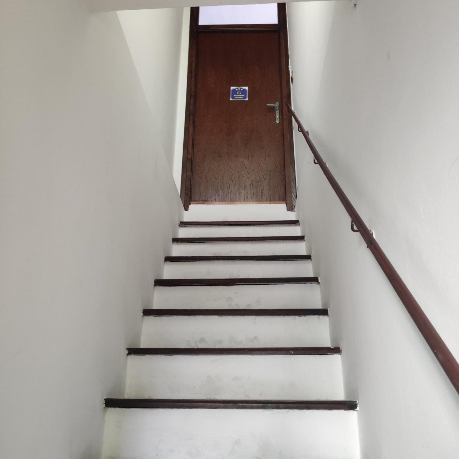 Red Tree Apartment Belgrado Buitenkant foto