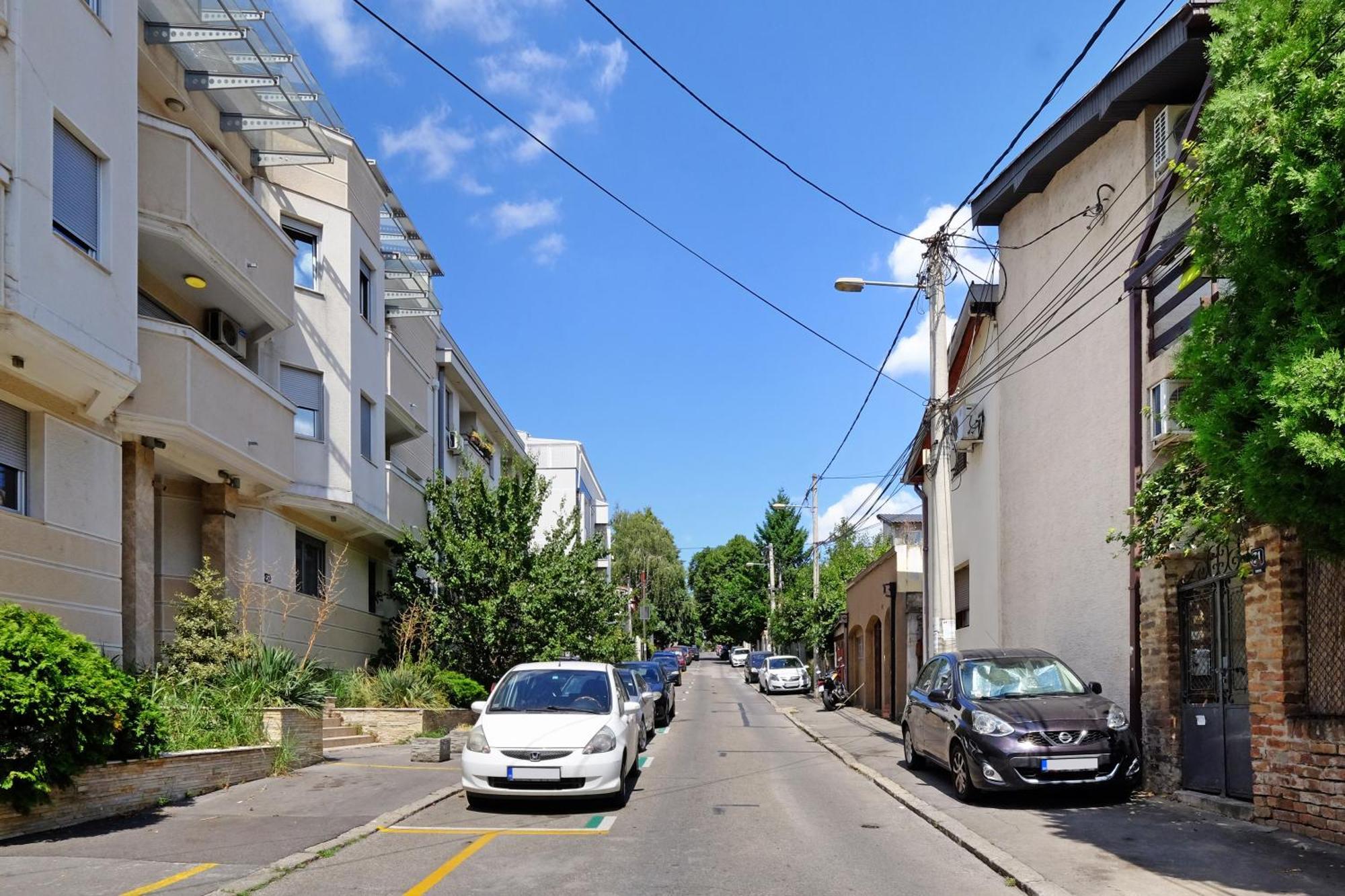 Red Tree Apartment Belgrado Buitenkant foto